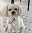 あっちゃんのプロフィール画像
