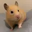 みずきのプロフィール画像