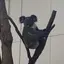 あのプロフィール画像