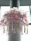 あきのプロフィール画像