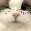 Haruのプロフィール画像