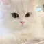 みんのプロフィール画像