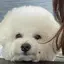 ちょのプロフィール画像