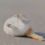 春のプロフィール画像