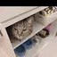 humiのプロフィール画像