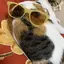 ちえのプロフィール画像
