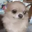 ＭＨのプロフィール画像