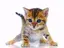 mikiのプロフィール画像