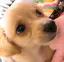 となのプロフィール画像