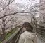 phuongのプロフィール画像