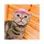 まこのプロフィール画像