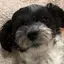 かななのプロフィール画像