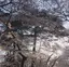 haruのプロフィール画像