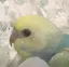 ゆうかのプロフィール画像