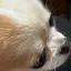 あきのプロフィール画像