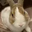 さちのプロフィール画像