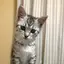 くるみのプロフィール画像