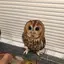 ゆかのプロフィール画像