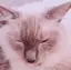 なつのプロフィール画像