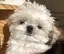 ゆのプロフィール画像