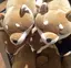 麗のプロフィール画像