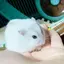 あきのプロフィール画像