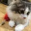 skのプロフィール画像