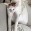 マキコのプロフィール画像