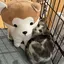 rinのプロフィール画像