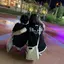 まぃまぃのプロフィール画像