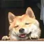 ひなこのプロフィール画像