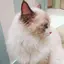 Luna☆のプロフィール画像