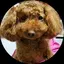 てるちんのプロフィール画像