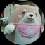 ロッキーのプロフィール画像