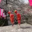 tomo✯のプロフィール画像