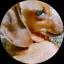 Cのプロフィール画像