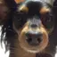 りなのプロフィール画像