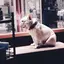 YUKKOのプロフィール画像