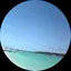 サンゴのプロフィール画像