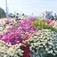 さぁーやのプロフィール画像