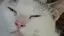 haruのプロフィール画像