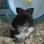 わくのプロフィール画像