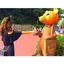 eriのプロフィール画像