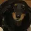 ユキナのプロフィール画像