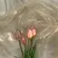 ひなのプロフィール画像