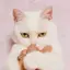 マチバリのプロフィール画像