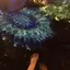 ひかるのプロフィール画像