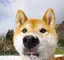 蓉梅のプロフィール画像