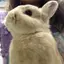 はづきのプロフィール画像