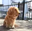ゆきのプロフィール画像